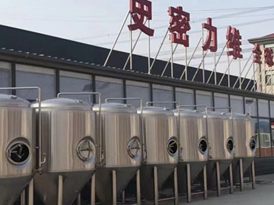 西藏精酿啤酒设备厂—市场规模与跨界新需求